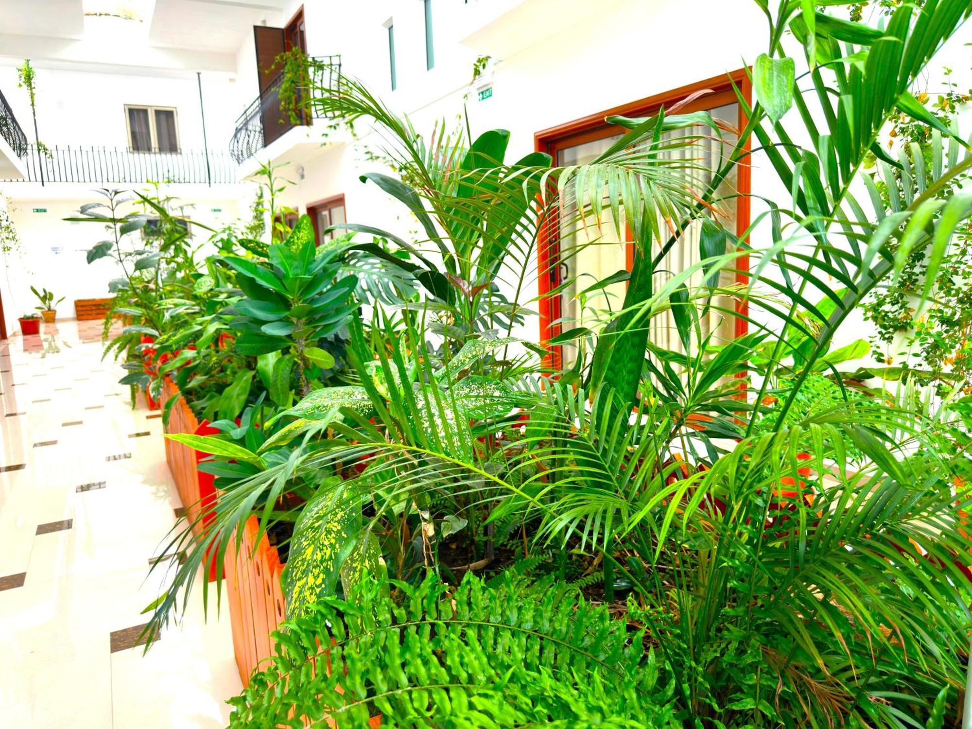 Residence Le Point Choisy Pointe aux Canonniers Bagian luar foto